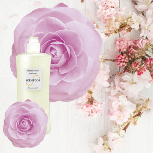 SENTCOS Scentcos Perfume Shampoo