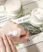 MIZON Phyto Plump Collagen Night Cream 50ml