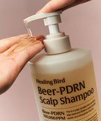 HEALING BIRD [NEW] Beer PDRN Hair Loss Shampoo 1000ml