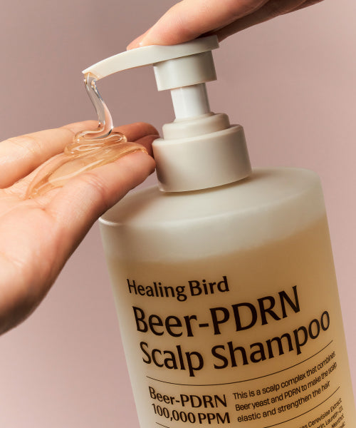 HEALING BIRD [NEW] Beer PDRN Hair Loss Shampoo 1000ml