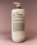 HEALING BIRD [NEW] Beer PDRN Scalp Treatment 1000ml
