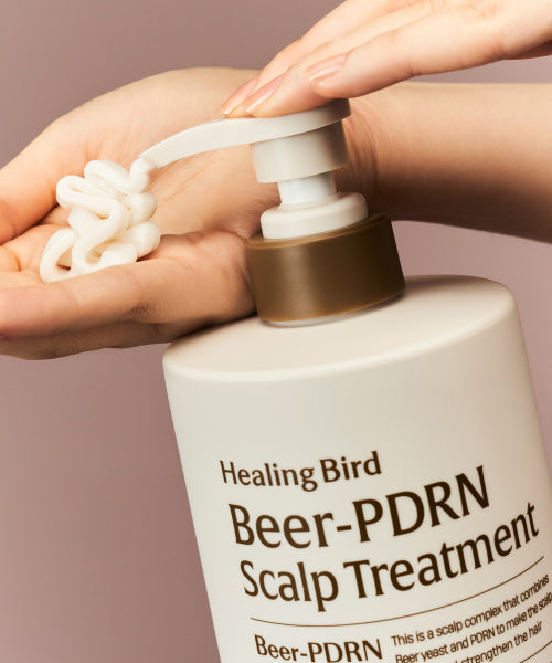HEALING BIRD [SET] Beer PDRN Hair Loss Shampoo 1000ml + PDRN Scalp Treatment 1000ml [Giveaway] Tea Tree Duo Sachet 3EA