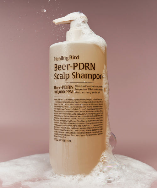 HEALING BIRD [SET] Beer PDRN Hair Loss Shampoo 1000ml + PDRN Scalp Treatment 1000ml [Giveaway] Tea Tree Duo Sachet 3EA