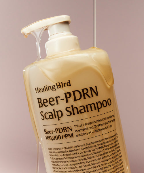 HEALING BIRD [SET] Beer PDRN Hair Loss Shampoo 1000ml + PDRN Scalp Treatment 1000ml [Giveaway] Tea Tree Duo Sachet 3EA