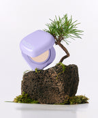 MISSHA MISSHA Layering Fit Fine Phytomucin Serum Cushion (Choose 1 of 2 types)