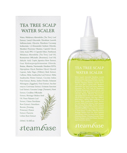 STEAMBASE Solving the problem of crown odor, scalp dead skin tea tree scaler (2 pcs. 250ml)