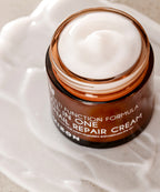 MIZON All-in-one Snail Repair Cream 75ml