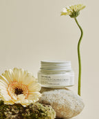 GREYMELIN GREYMELIN Calendula Calming Cream 50g
