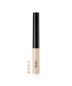 VDL VDL Cover Stain Perfecting Concealer A01