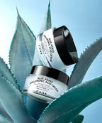 TELSE TELSE Blue Agave Hyaluronic Acid Cream 50ml
