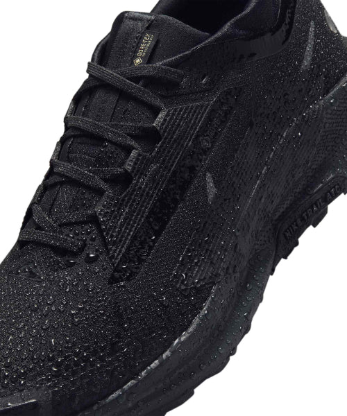 NIKE Nike Shoes Pegasus Trail 5 GORE-TEX - Black