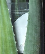 GLOW GLOW Aloe Hydrogel Mask Pack
