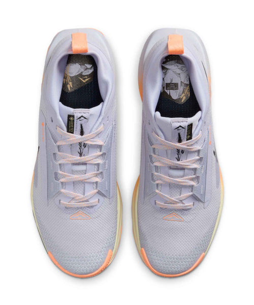 NIKE NIKE Pegasus Trail 5 GORE-TEX W - Size