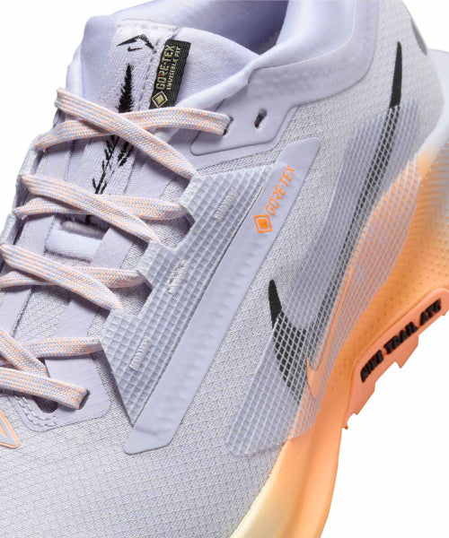 NIKE NIKE Pegasus Trail 5 GORE-TEX W - Size