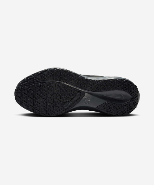 NIKE Nike Shoes Pegasus 41 GORE-TEX W - Size