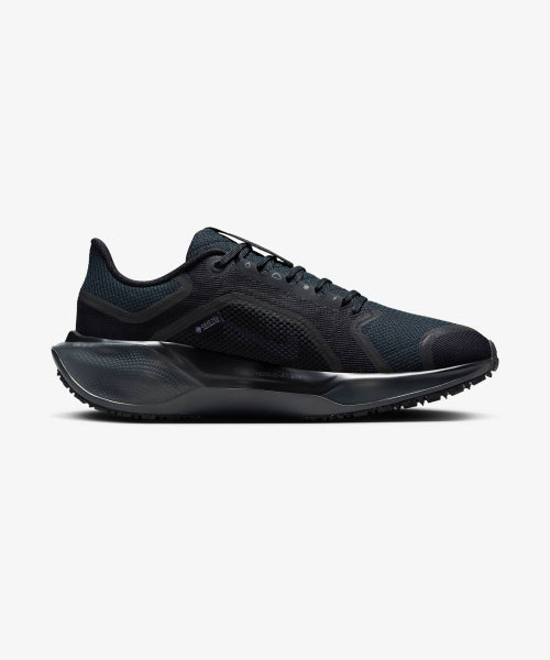 NIKE Nike Shoes Pegasus 41 GORE-TEX W - Size
