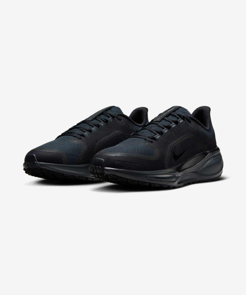 NIKE Nike Shoes Pegasus 41 GORE-TEX W - Size