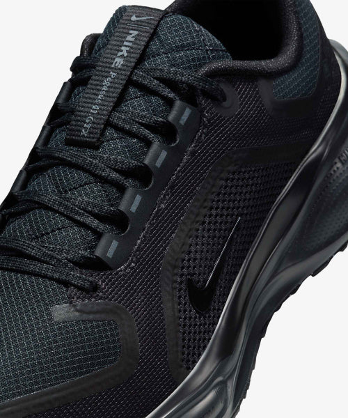 NIKE Nike Shoes Pegasus 41 GORE-TEX W - Size