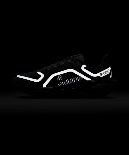 NIKE Nike Shoes Pegasus 41 GORE-TEX W - Size