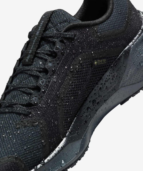 NIKE Nike Shoes Pegasus 41 GORE-TEX W - Size