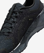 NIKE Nike Shoes Pegasus 41 GORE-TEX W - Size