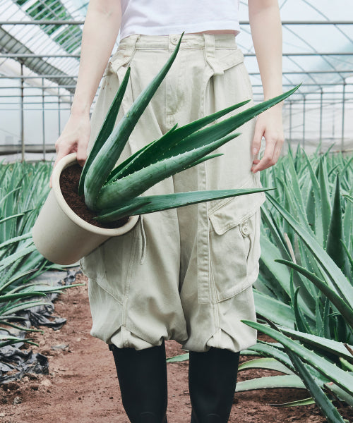 GLOW Aloe Barrier Support Cream