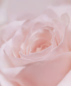 THIM BEAUTY THIM BEAUTY Rose PDRN Radiance Mist 100ml
