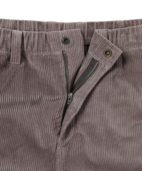 THISISNEVERTHAT THISISNEVERTHAT GORE-TEX WINDSTOPPER Cord Pant Plum