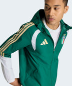 ADIDAS ADIDAS Jacket Green