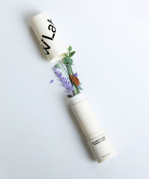 WLAB WLAB Dog Oil Pore Eraser Air Fit Pore Primer Stick 12g x 2