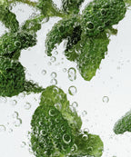 NESH Mint Biome Scalp Deep Cleansing Shampoo