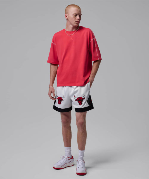 NIKE Nike Jordan Flight Muay Thai Shorts M