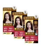 ELASTINE [Select option] Salon de Color hair dye 100g x 3