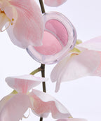 APIEU APIEU Mood Blending Jelly Cheek Balm
