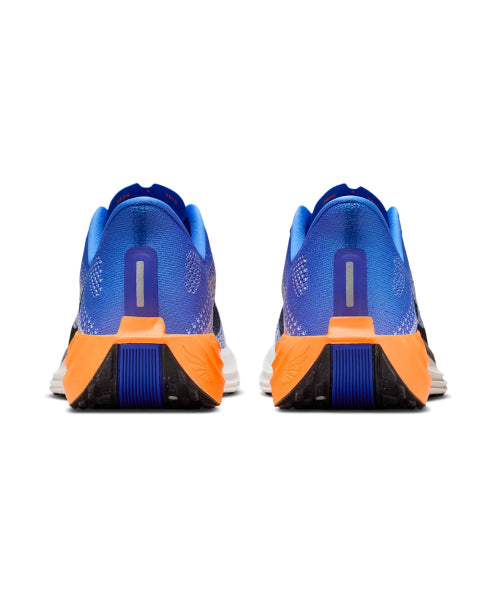 NIKE Nike Shoes Pegasus Plus M - Crystal Blue