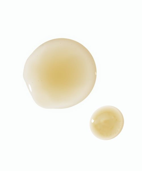 SIMPLYWORKS SIMPLYWORKS 1 Million Pore Serum Duo Set