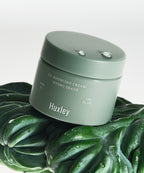 HUXLEY HUXLEY Rebouncing Cream Hydro Shade 50ML