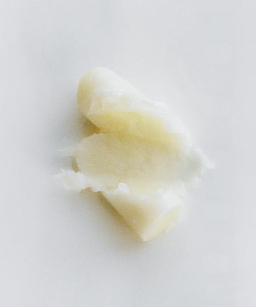 TENUI TENUI Moisturizing Cactus Lip Balm 3.8g