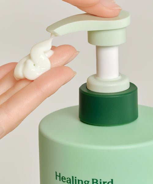 HEALING BIRD [SET] Tea Tree PDRN Cooling Shampoo + Cooling Treatment [Giveaway] Hairbrush