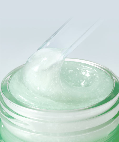 innisfree innisfree Green Tea Gel Cream 50mL x 2 + 15mL x 4