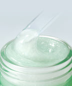 innisfree Innisfree Green Tea Panthenol Gel Cream 50mL