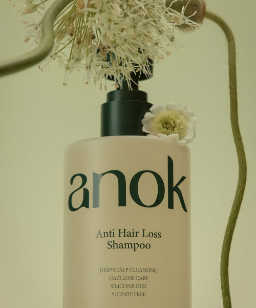 ANOK [Protein Adsorption/Scalp Care] Vegan Protein Deep Scaling Stress Relief Perfume Shampoo & Treatment 400ml