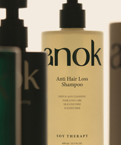 ANOK [Protein Adsorption/Scalp Care] Vegan Protein Deep Scaling Stress Relief Perfume Shampoo & Treatment 400ml