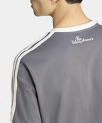 ADIDAS ADIDAS Mercedes AMG F1 Team Silver Arrow Icon Men's Tee - Gray