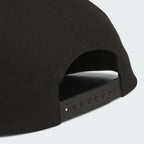 ADIDAS ADIDAS Skateboarding Low Key V2 Cap