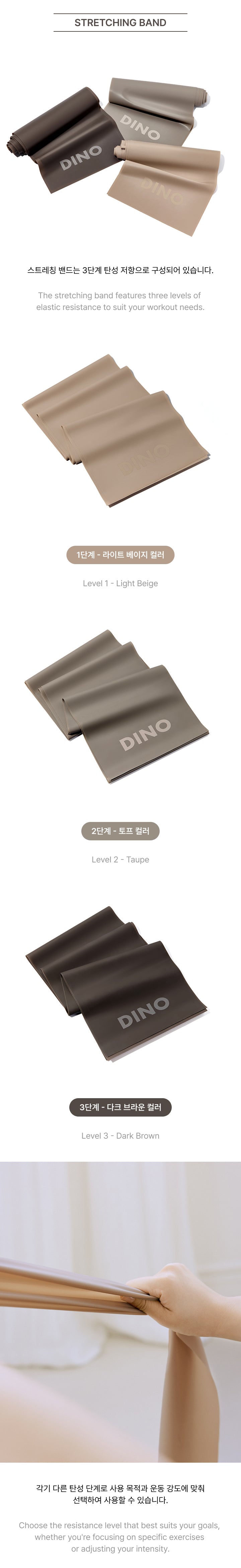 HAPPY DINO DAY [FITNESS SET] detail 4