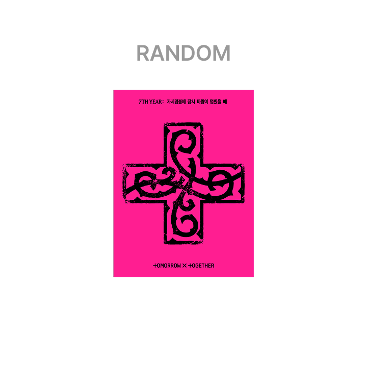 7TH YEAR: 가시덤불에 잠시 바람이 멈췄을 때 (PPULBATU Ver.)(Weverse Albums ver.)(Random)